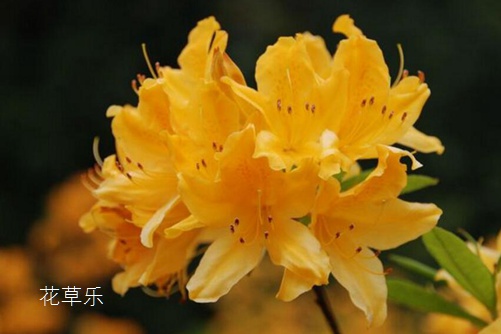日在夏天动漫国产后进白嫩翘臀在线动漫，那些年我们追过的夏日记忆